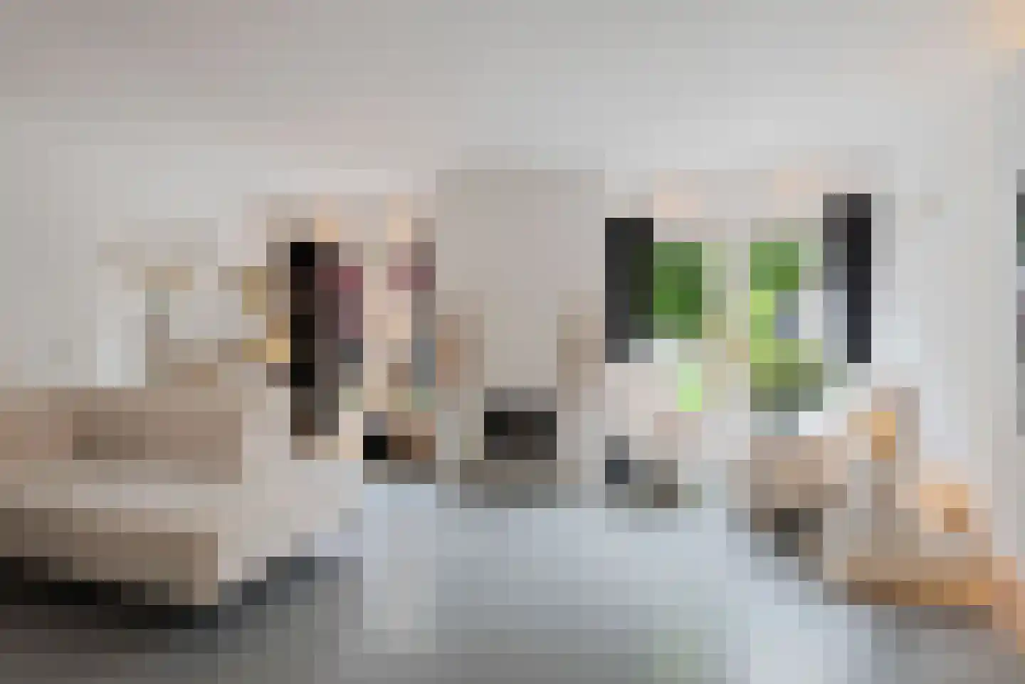 de Cock van Neerijnenstraat 21 Schijndel thumbnail 16