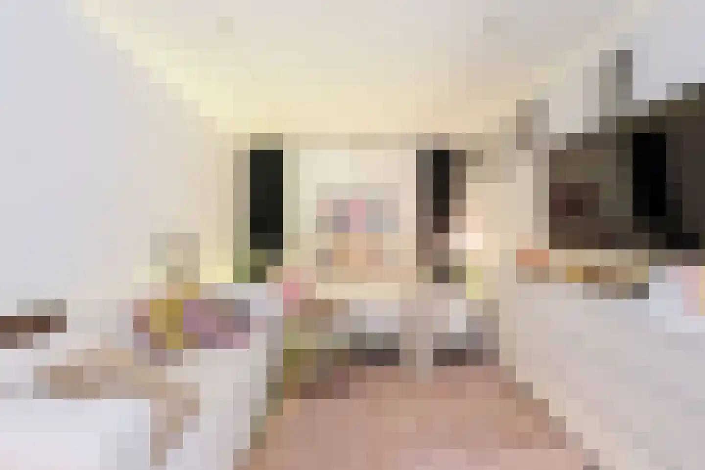 de Cock van Neerijnenstraat 21 Schijndel thumbnail 18