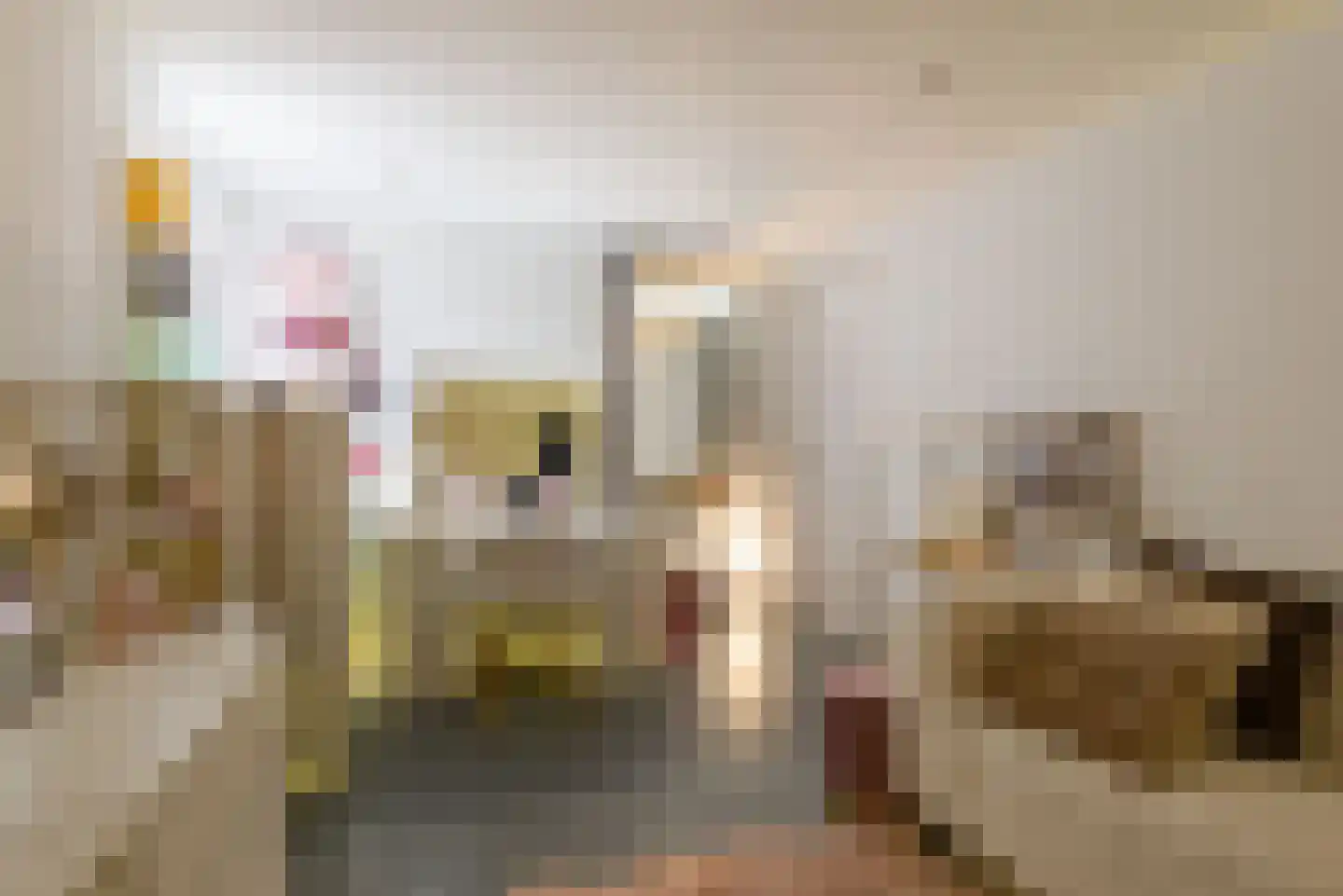 de Cock van Neerijnenstraat 21 Schijndel thumbnail 19