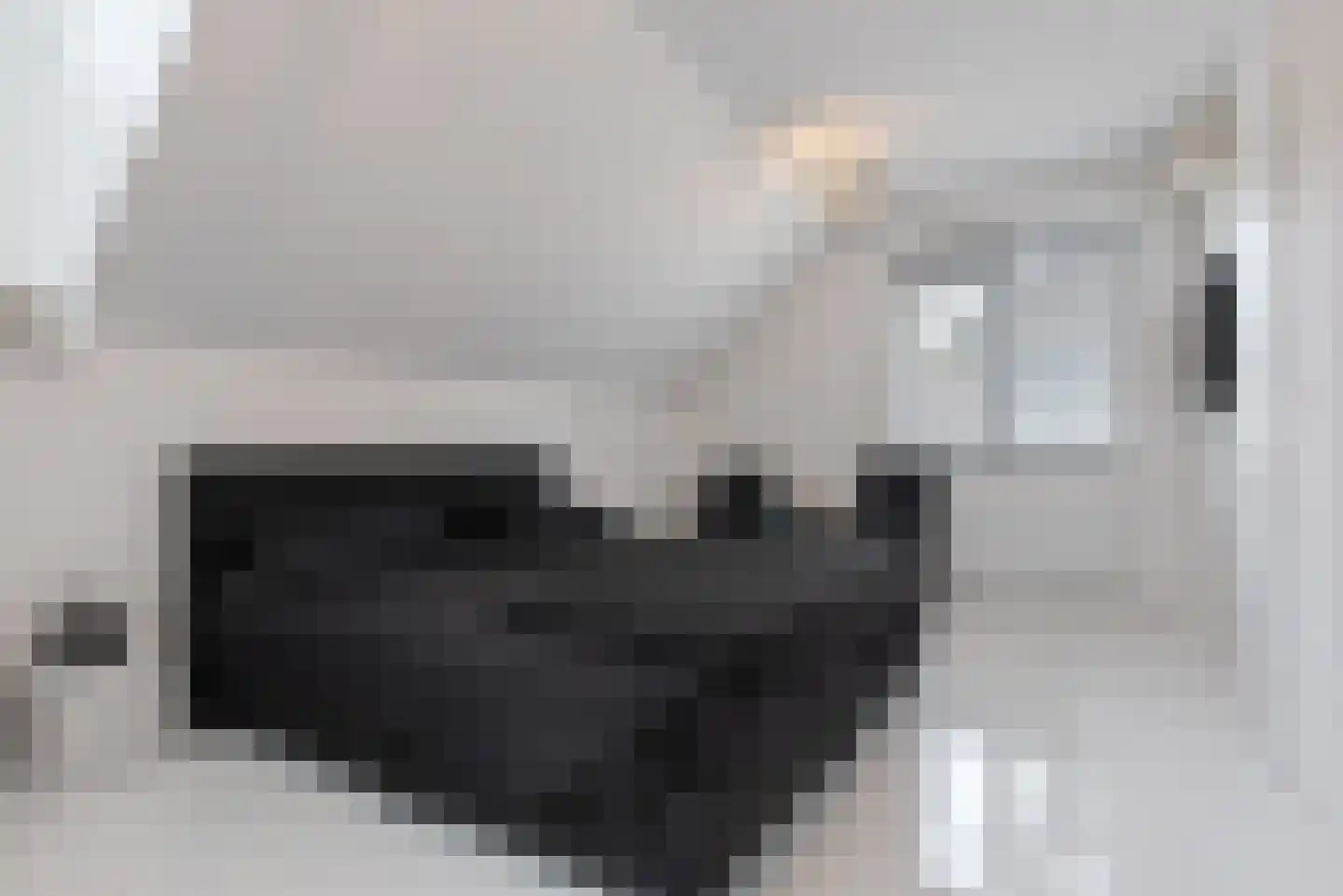 de Cock van Neerijnenstraat 21 Schijndel thumbnail 25
