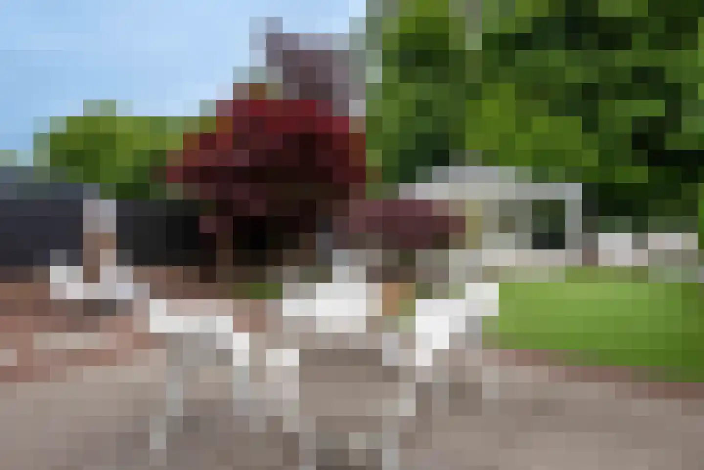 de Cock van Neerijnenstraat 21 Schijndel thumbnail 4