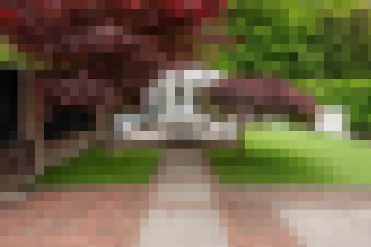 de Cock van Neerijnenstraat 21 Schijndel thumbnail 41