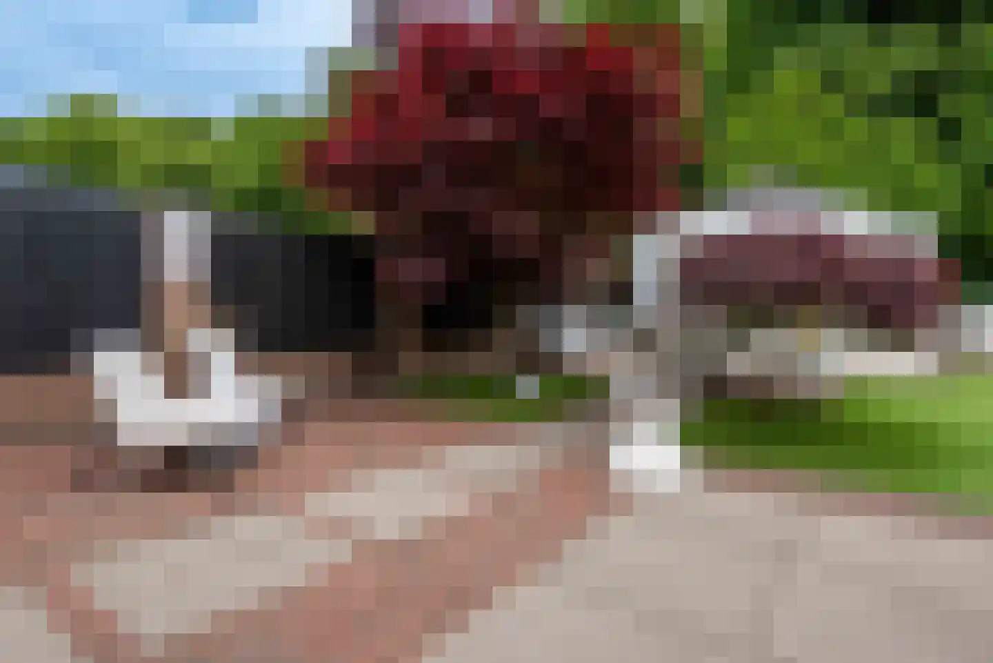 de Cock van Neerijnenstraat 21 Schijndel thumbnail 42