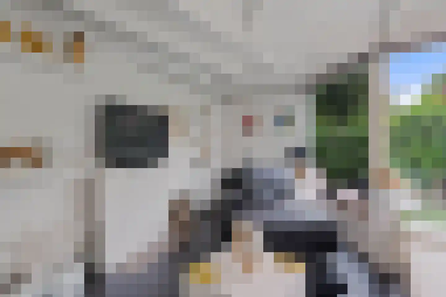 de Cock van Neerijnenstraat 21 Schijndel thumbnail 44