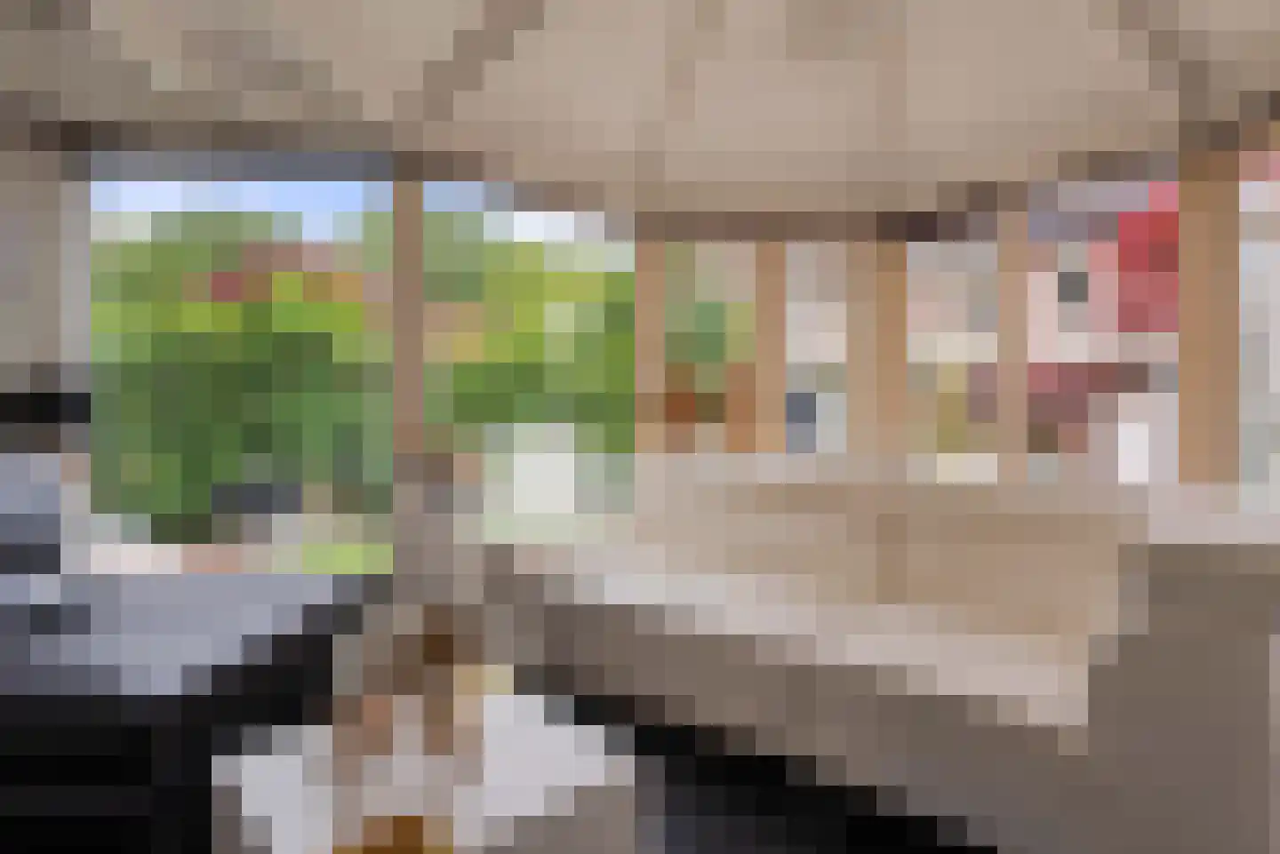 de Cock van Neerijnenstraat 21 Schijndel thumbnail 45