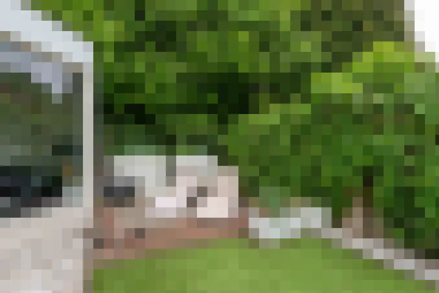 de Cock van Neerijnenstraat 21 Schijndel thumbnail 46