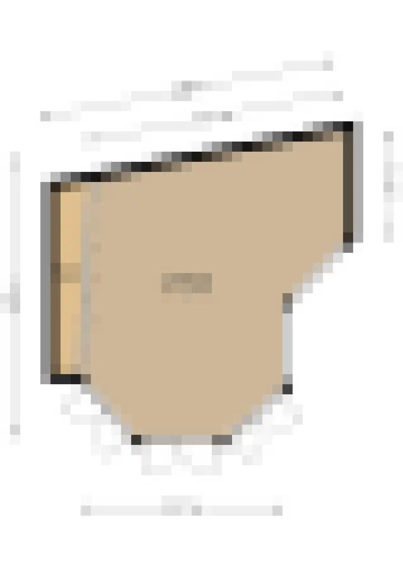 de Cock van Neerijnenstraat 21 Schijndel thumbnail 53