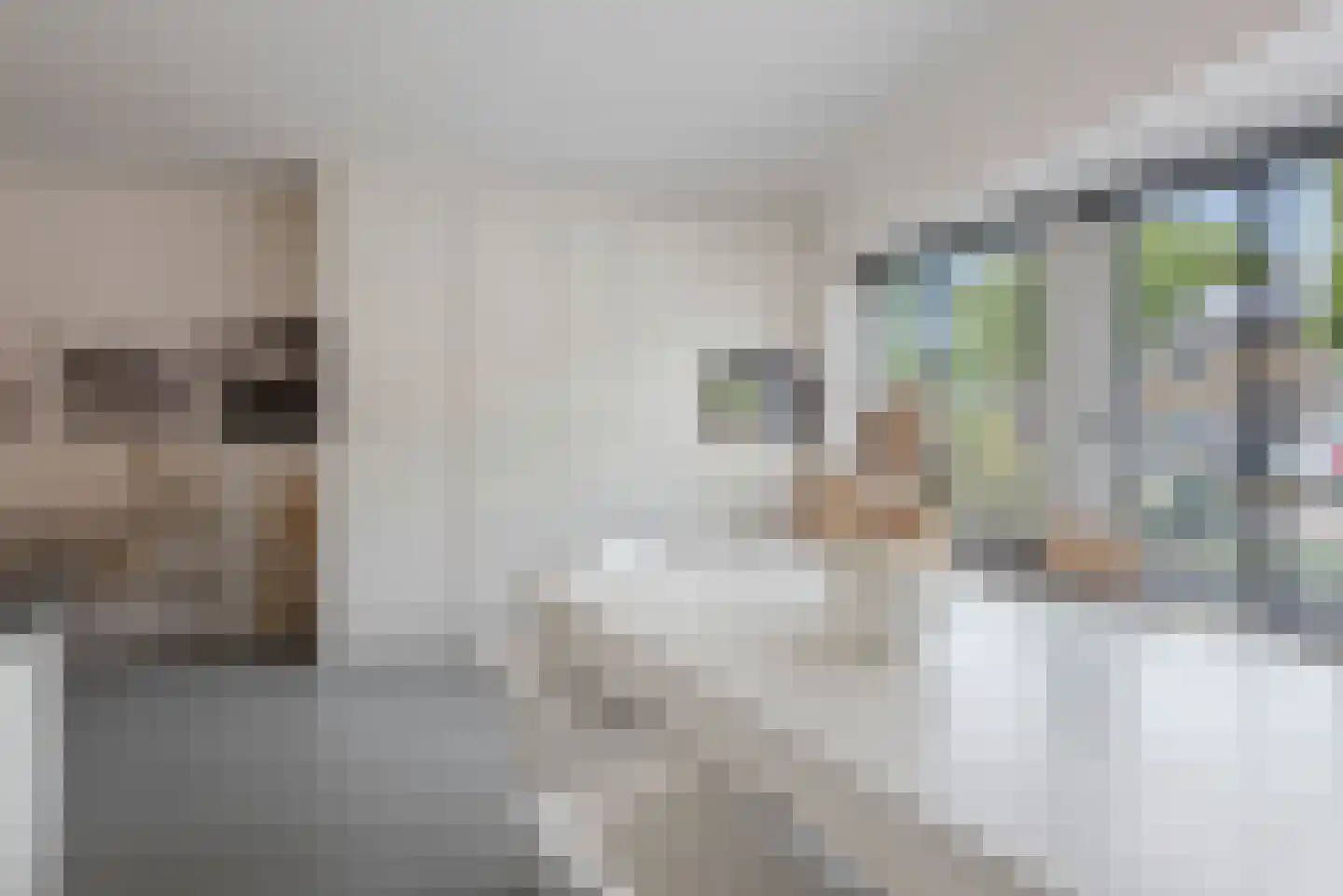 de Cock van Neerijnenstraat 21 Schijndel thumbnail 8