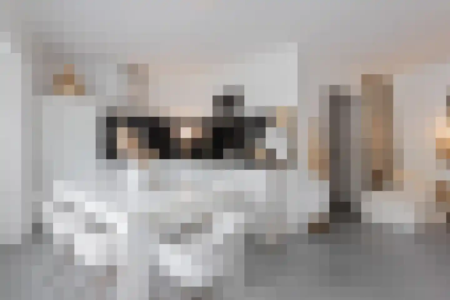 de Cock van Neerijnenstraat 21 Schijndel thumbnail 9