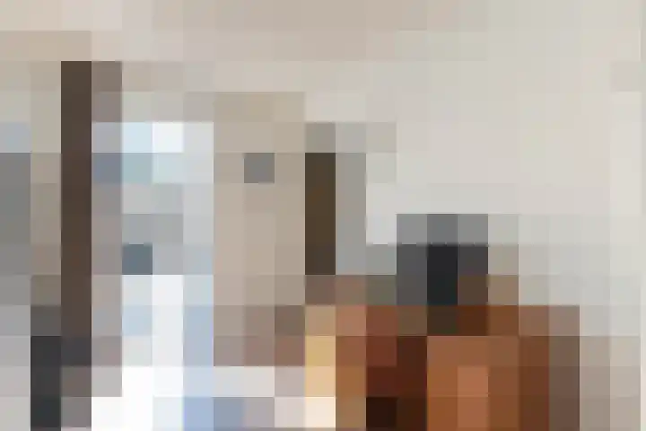de Cock van Neerijnenstraat 37 Schijndel thumbnail 20