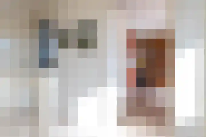 de Cock van Neerijnenstraat 37 Schijndel thumbnail 27