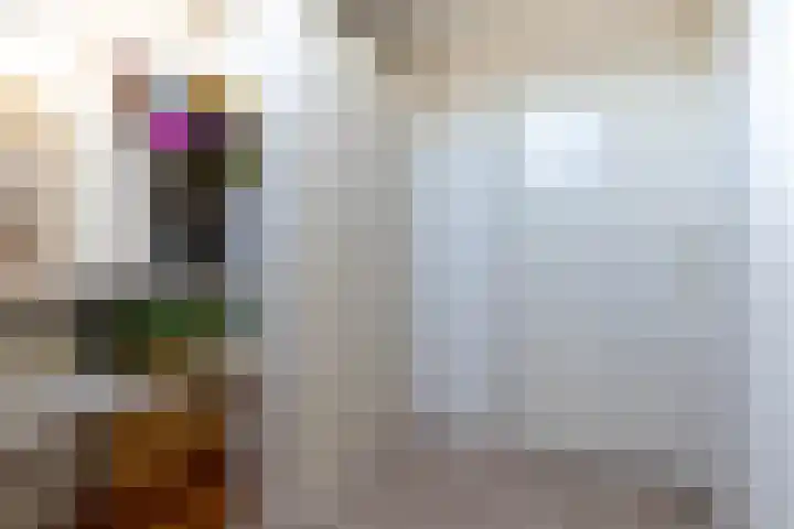 de Cock van Neerijnenstraat 37 Schijndel thumbnail 29