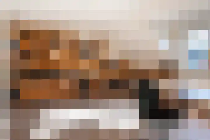de Cock van Neerijnenstraat 37 Schijndel thumbnail 31