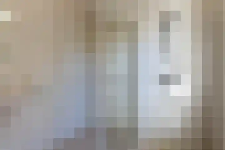 de Cock van Neerijnenstraat 37 Schijndel thumbnail 36