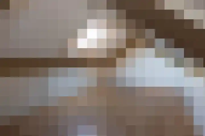 de Cock van Neerijnenstraat 37 Schijndel thumbnail 38