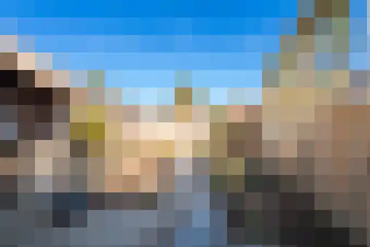 de Cock van Neerijnenstraat 37 Schijndel thumbnail 44