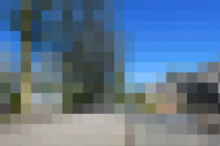 de Cock van Neerijnenstraat 37 Schijndel thumbnail 45