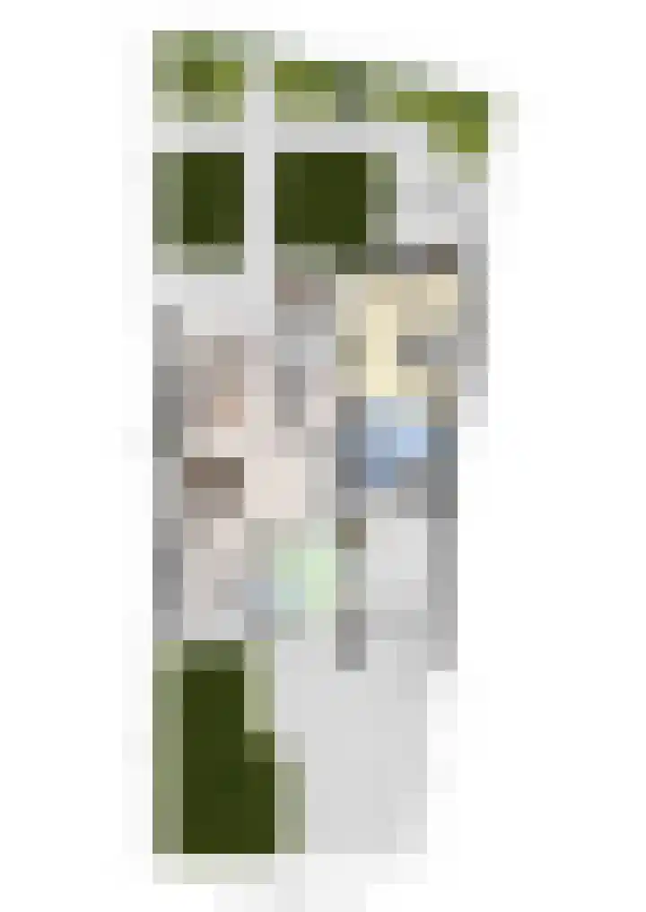 de Cock van Neerijnenstraat 37 Schijndel thumbnail 50