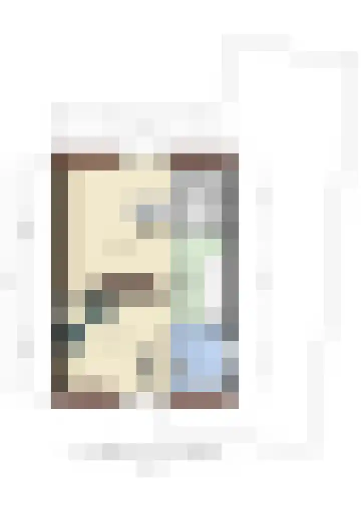 de Cock van Neerijnenstraat 37 Schijndel thumbnail 52