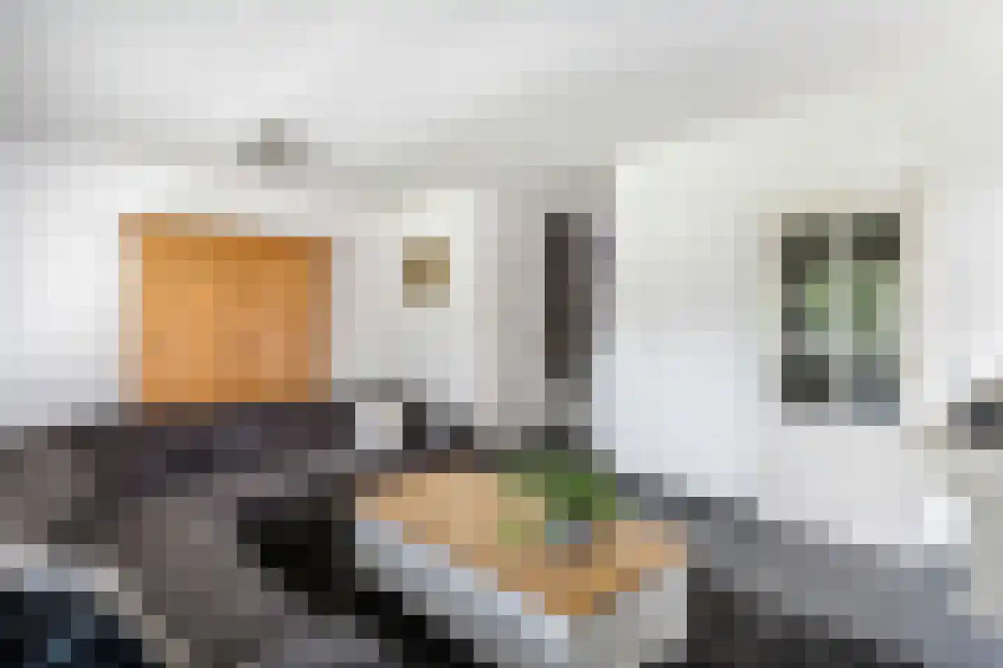 de Cock van Opijnenstraat 19 Opijnen thumbnail 15