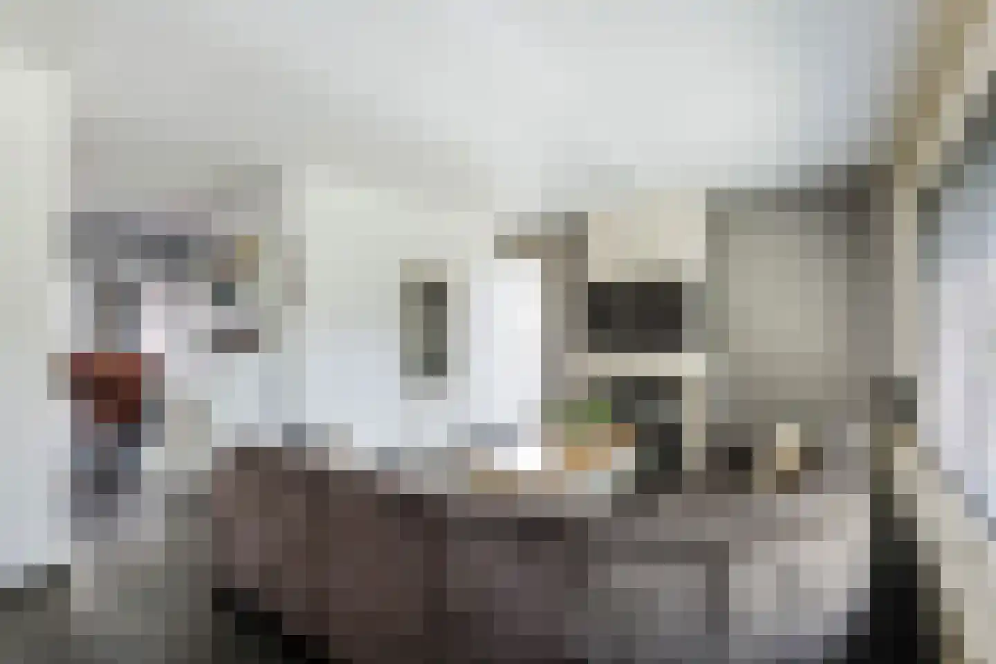 de Cock van Opijnenstraat 19 Opijnen thumbnail 16