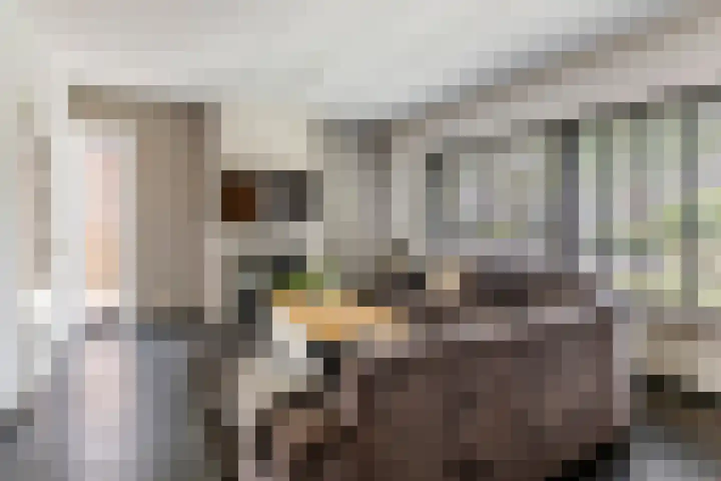 de Cock van Opijnenstraat 19 Opijnen thumbnail 17