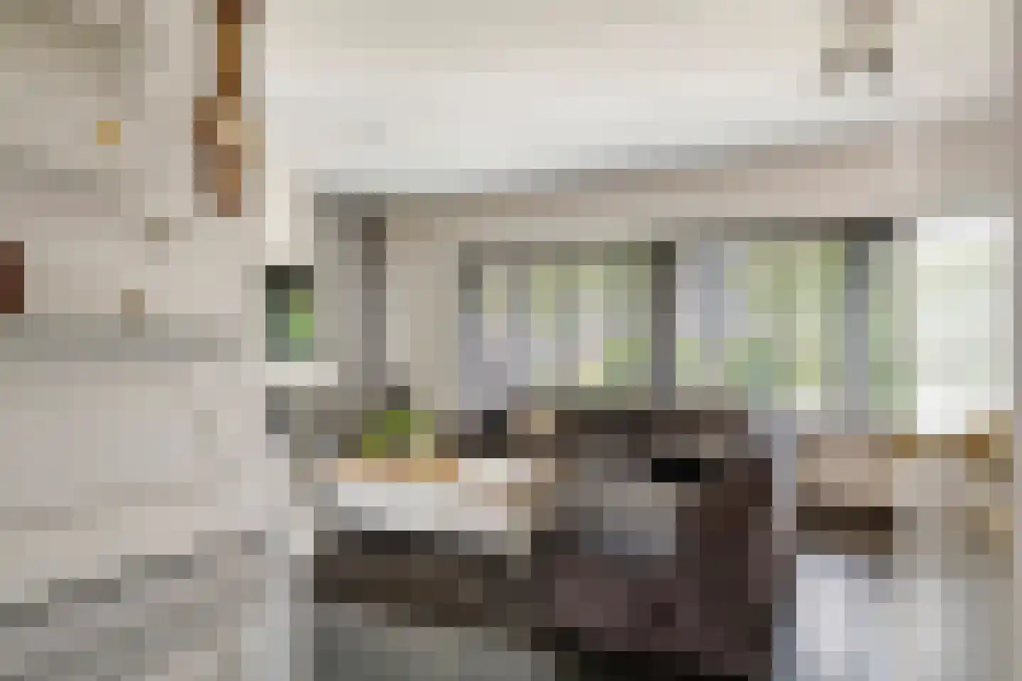 de Cock van Opijnenstraat 19 Opijnen thumbnail 19