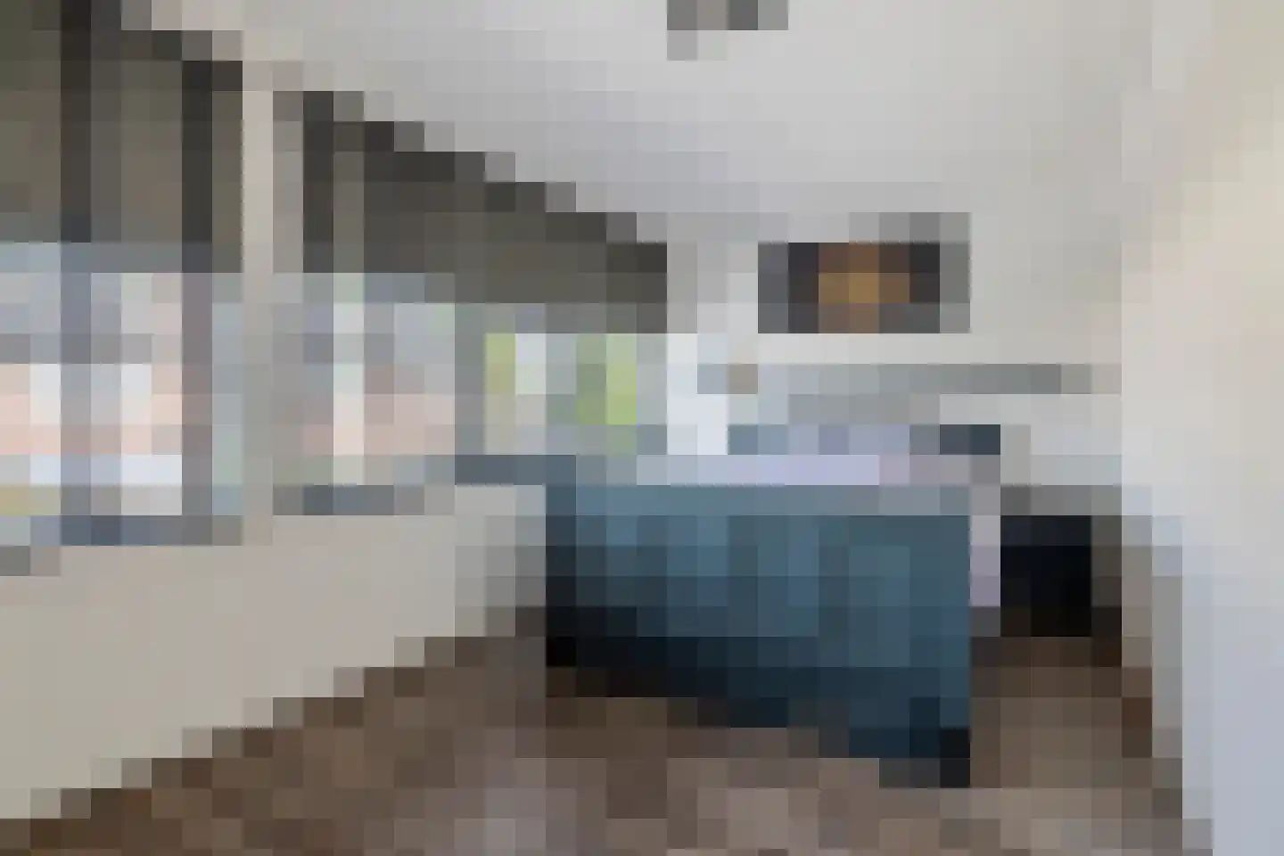 de Cock van Opijnenstraat 19 Opijnen thumbnail 30