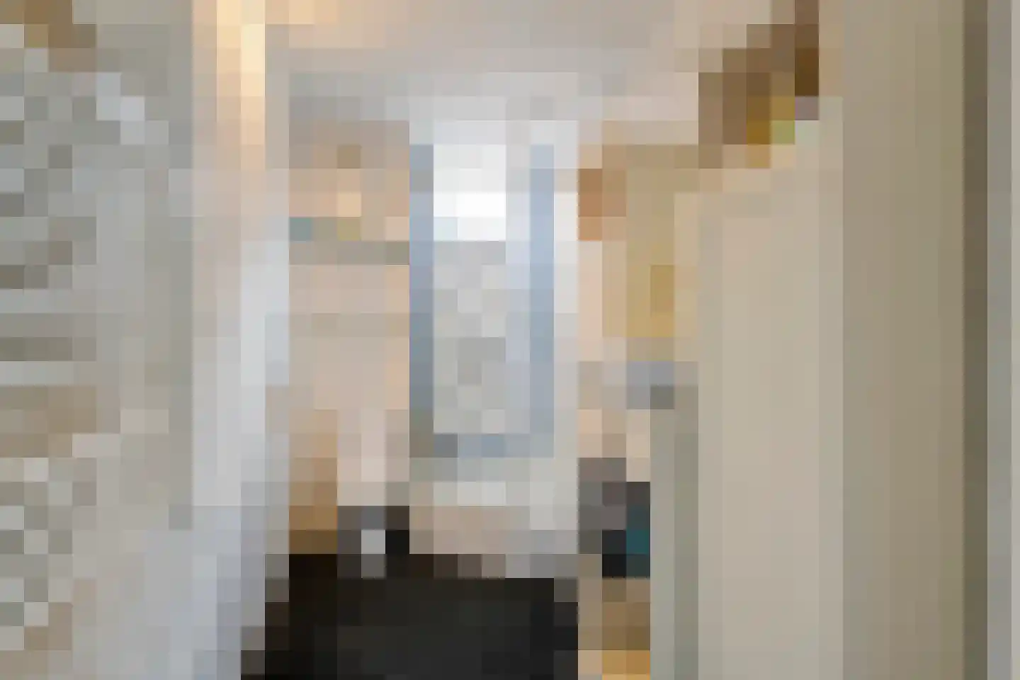 de Cock van Opijnenstraat 19 Opijnen thumbnail 33