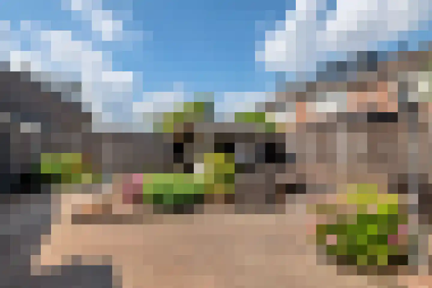 de Cock van Opijnenstraat 19 Opijnen thumbnail 5