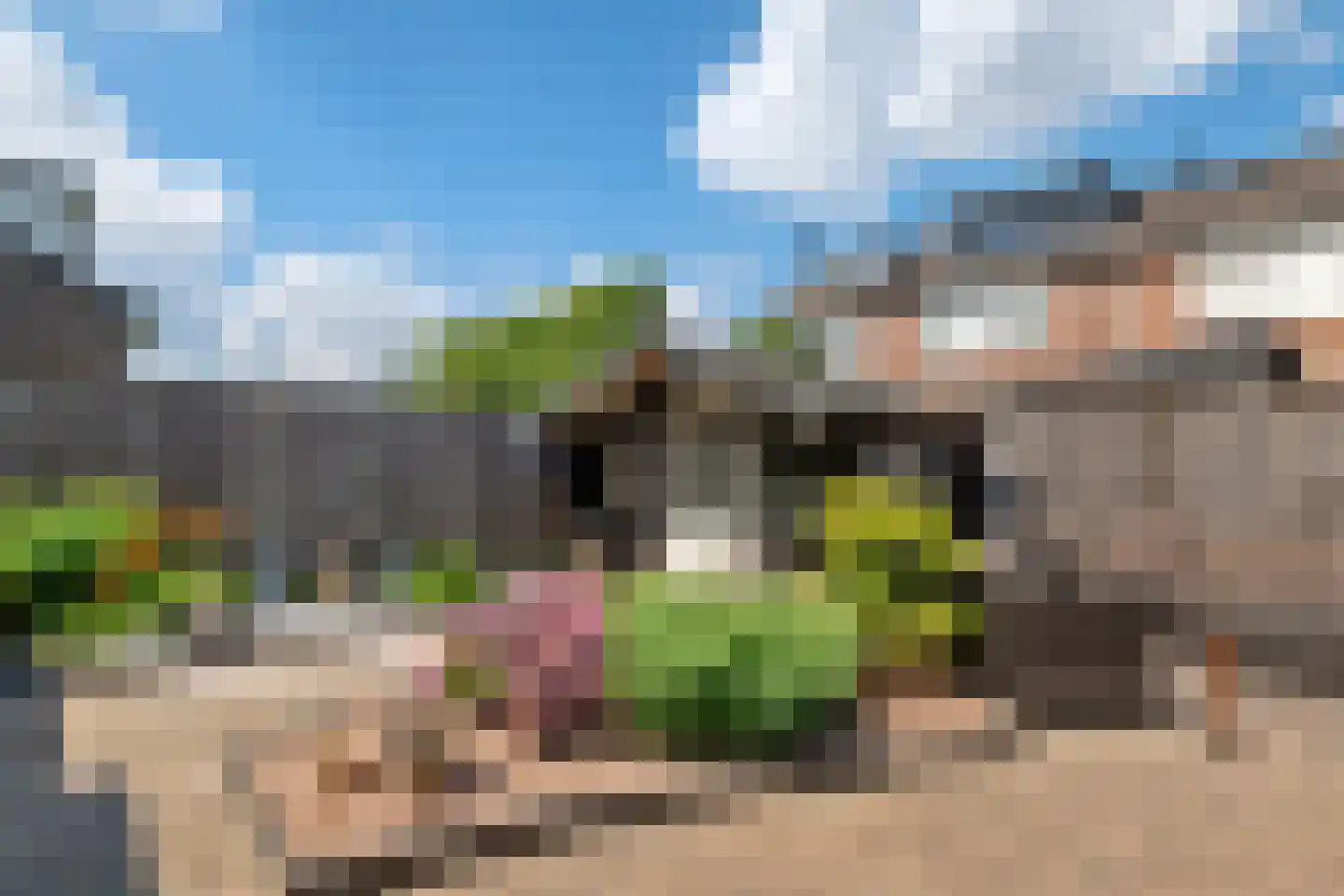 de Cock van Opijnenstraat 19 Opijnen thumbnail 8