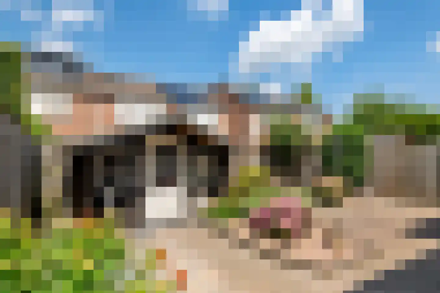 de Cock van Opijnenstraat 19 Opijnen thumbnail 9