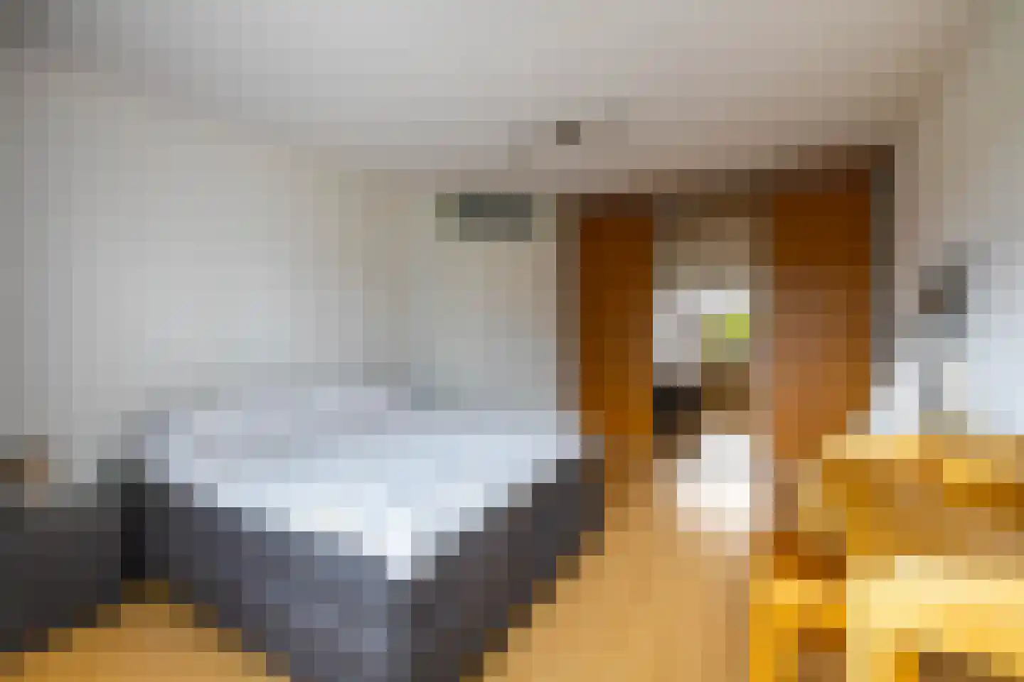 De Cockstraat 56 Groningen thumbnail 25