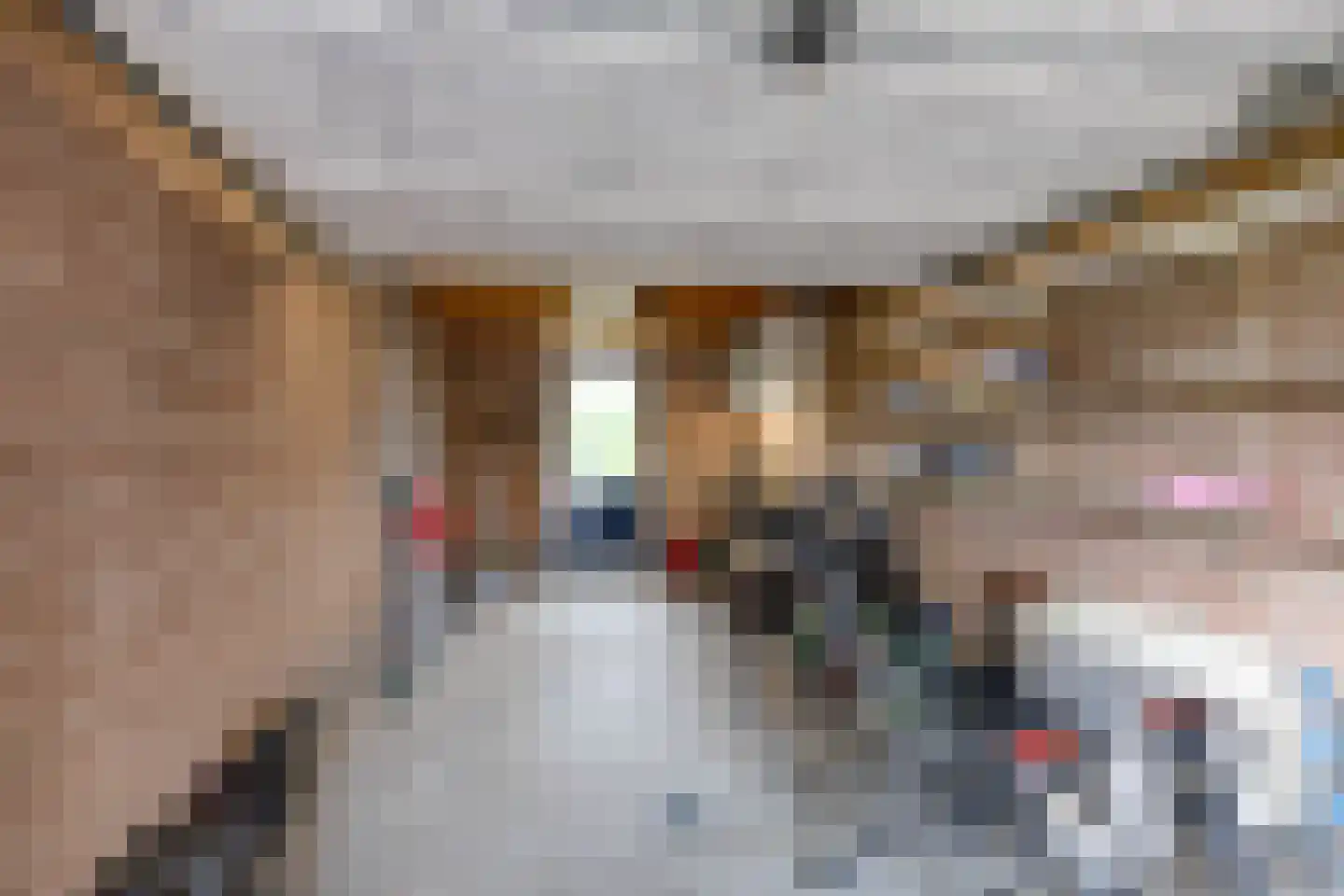 De Cockstraat 56 Groningen thumbnail 43