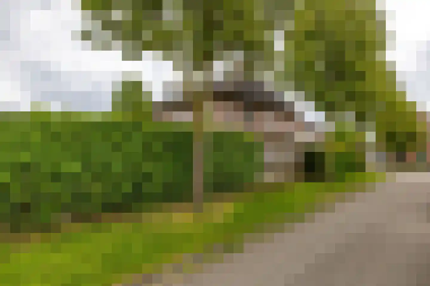 De Cockstraat 56 Groningen thumbnail 51