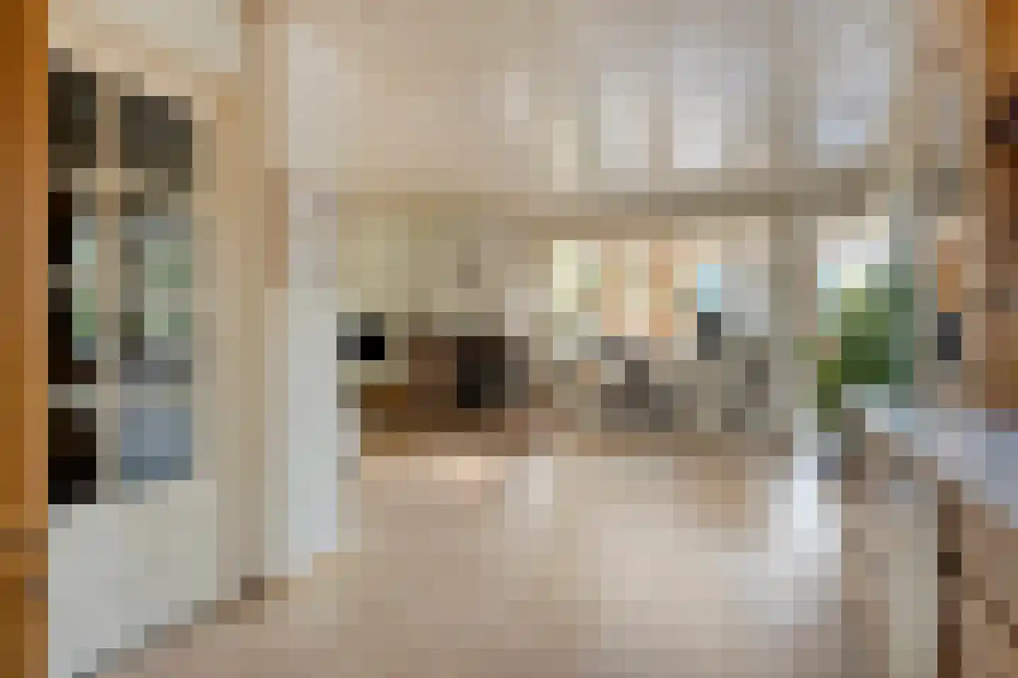 De Coevering 4 Veghel thumbnail 10