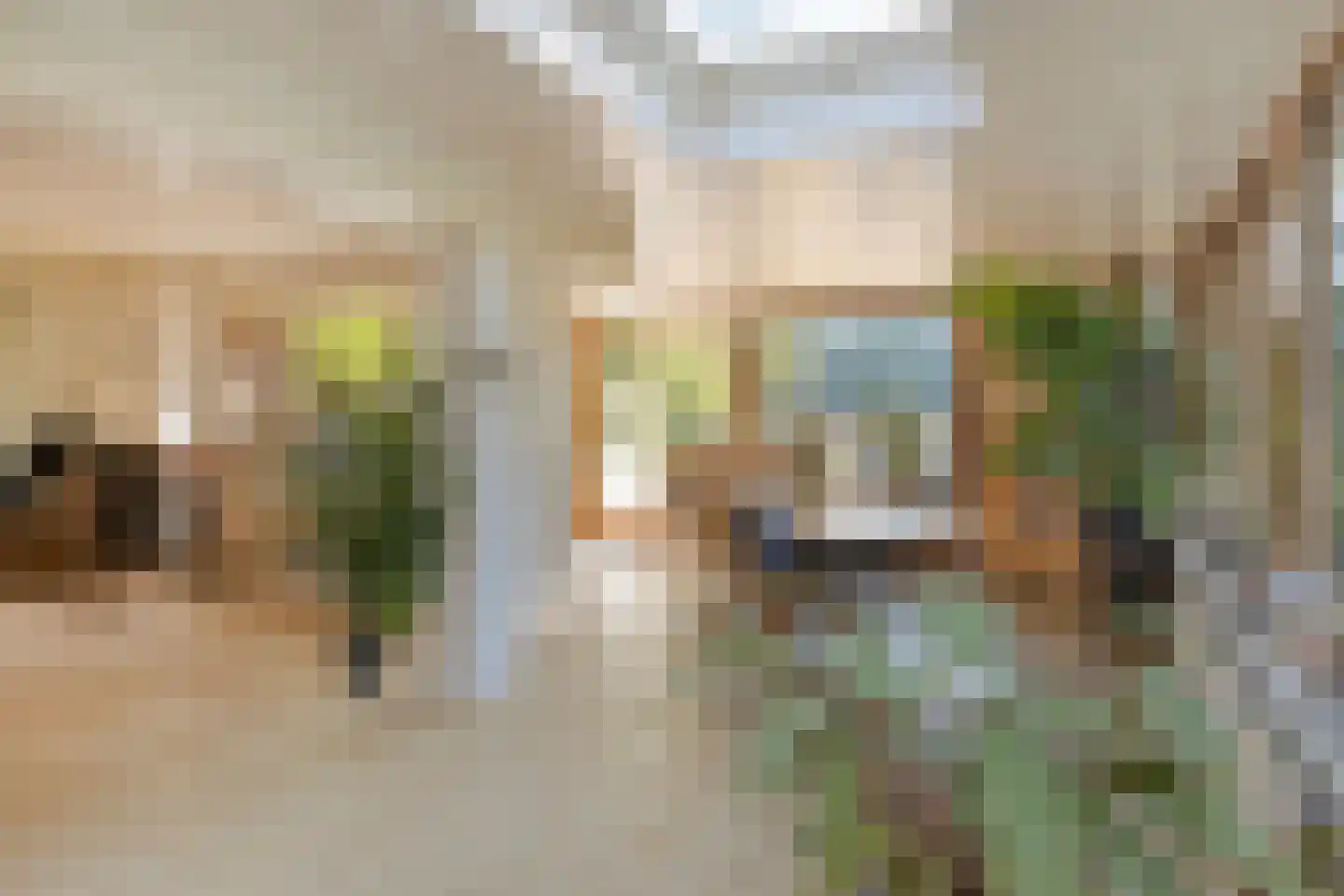 De Coevering 4 Veghel thumbnail 15