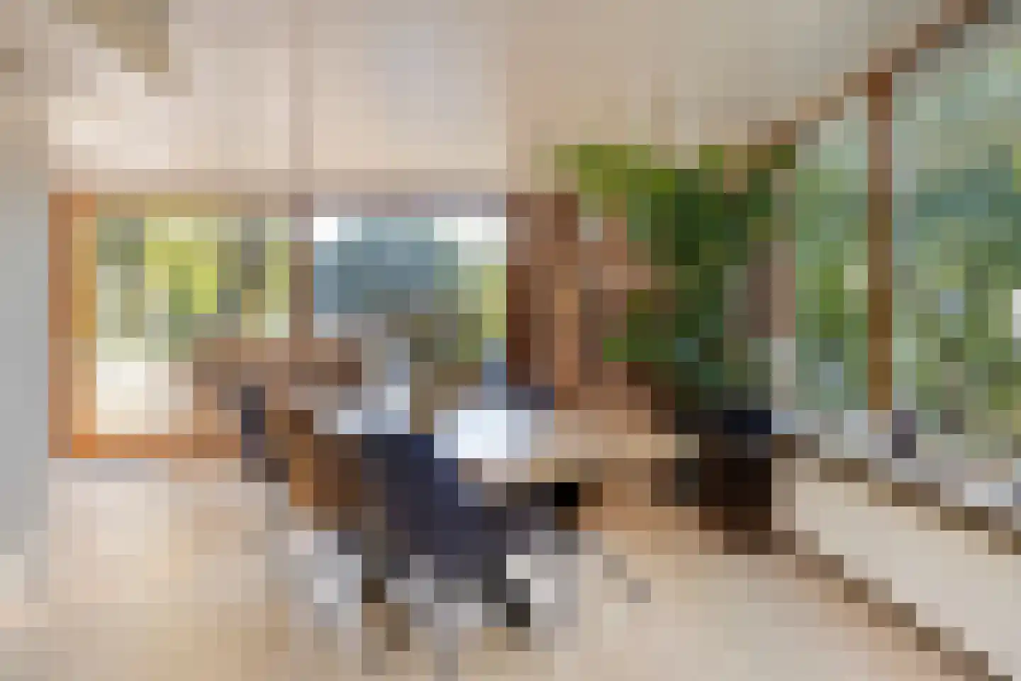 De Coevering 4 Veghel thumbnail 16