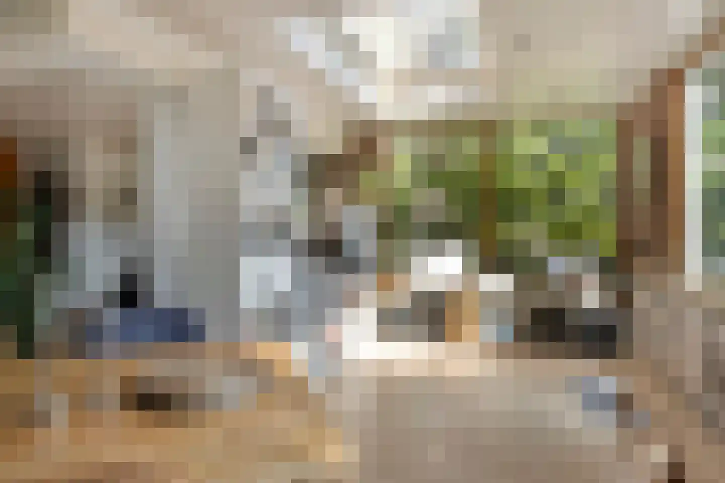 De Coevering 4 Veghel thumbnail 17