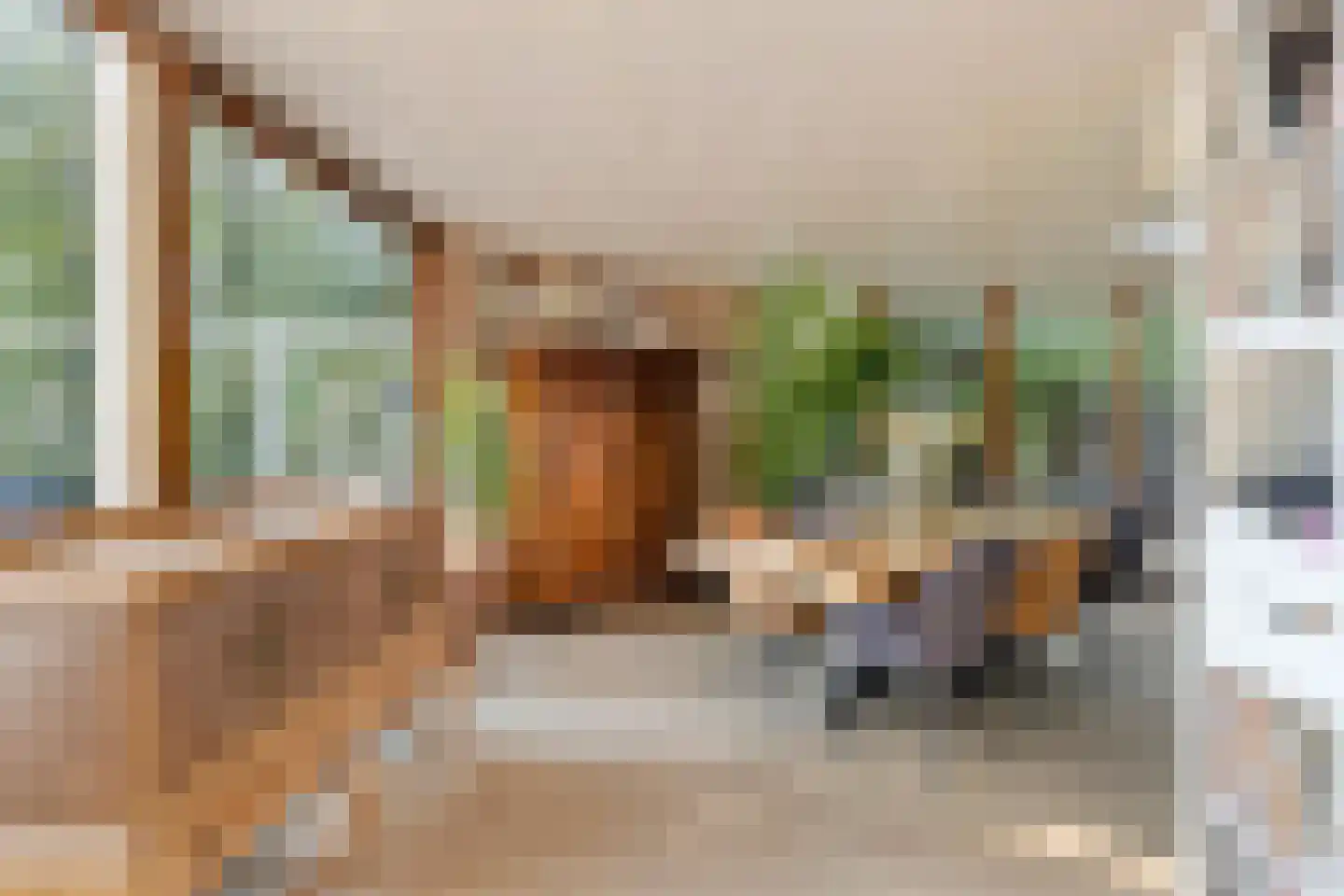 De Coevering 4 Veghel thumbnail 18