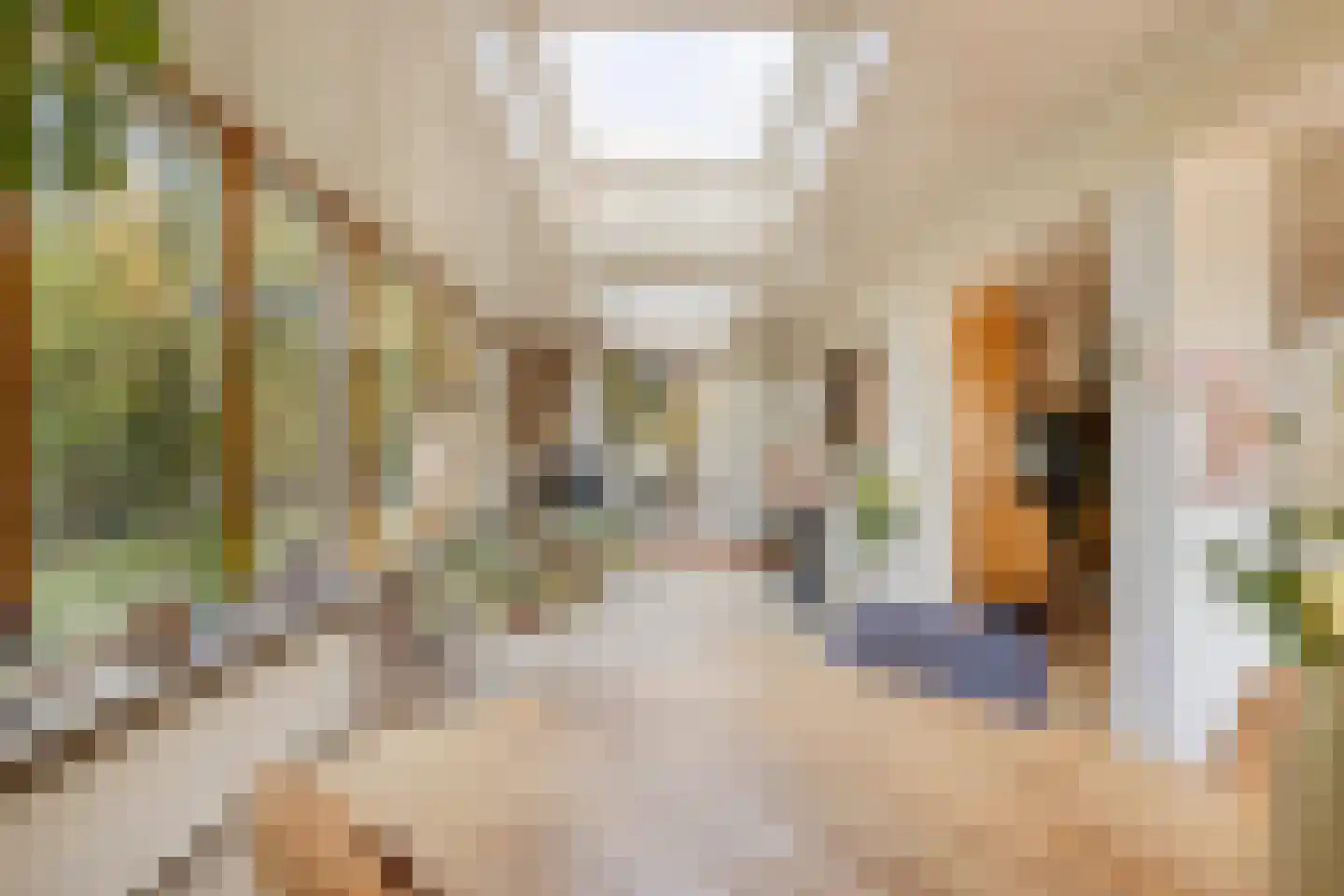 De Coevering 4 Veghel thumbnail 19