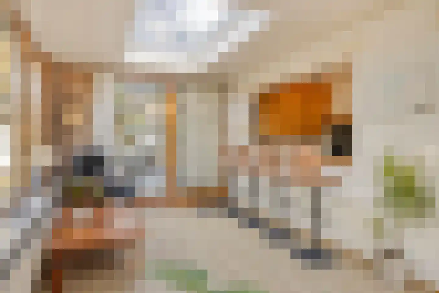 De Coevering 4 Veghel thumbnail 20