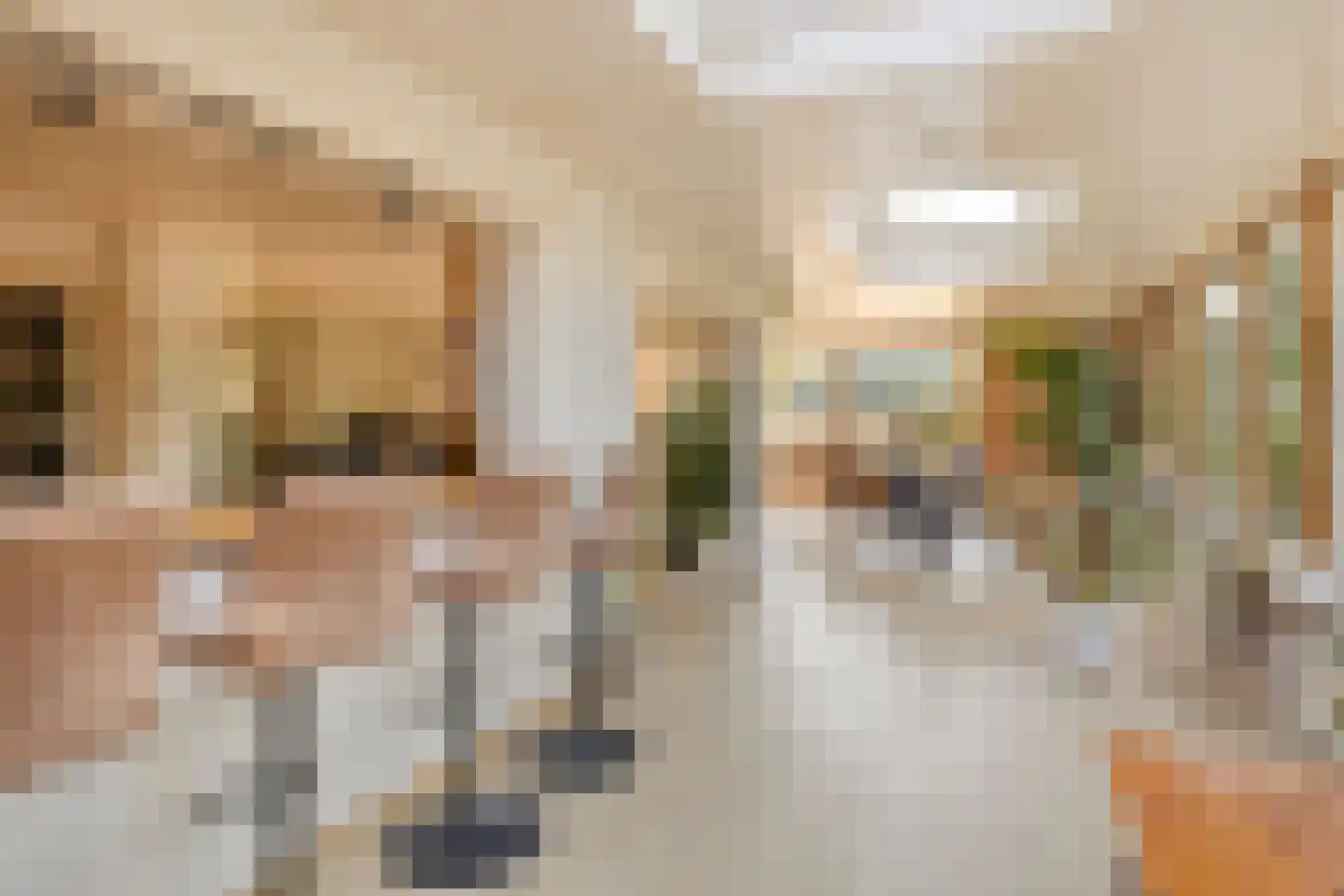 De Coevering 4 Veghel thumbnail 21