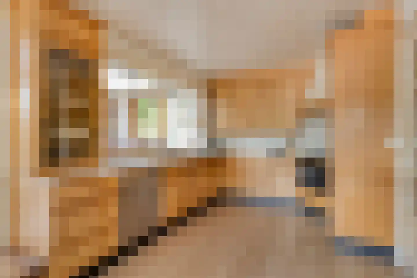 De Coevering 4 Veghel thumbnail 22