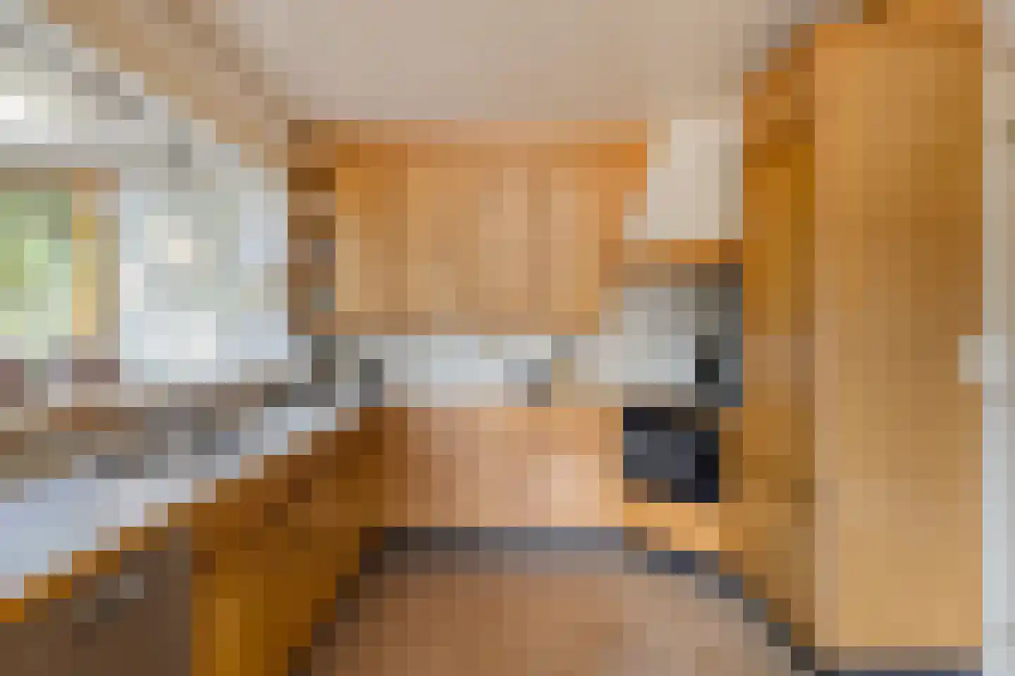 De Coevering 4 Veghel thumbnail 23