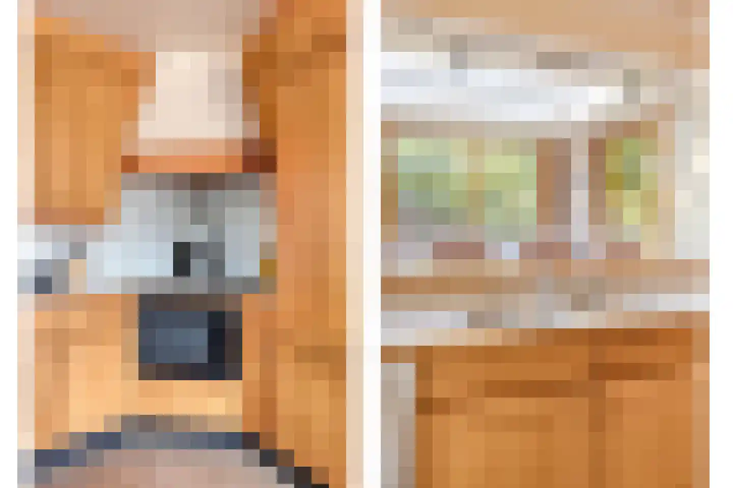De Coevering 4 Veghel thumbnail 24