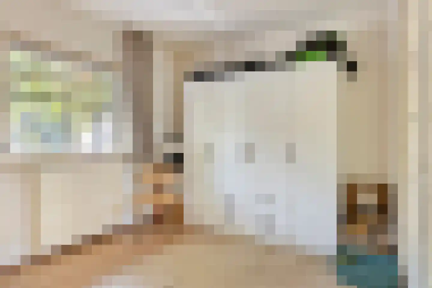 De Coevering 4 Veghel thumbnail 30