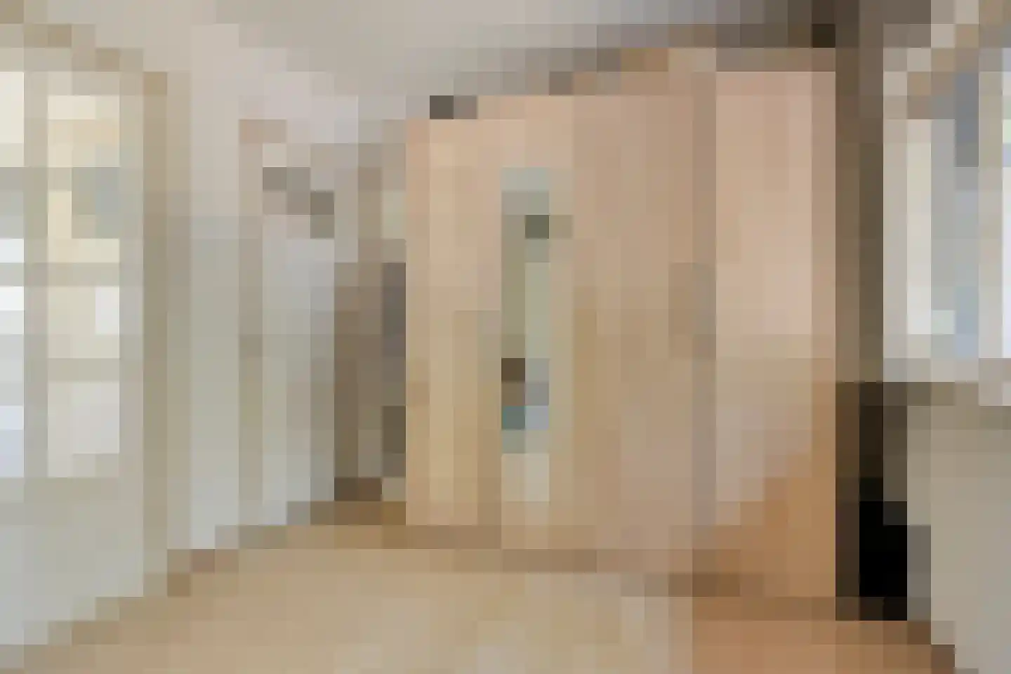 De Coevering 4 Veghel thumbnail 31