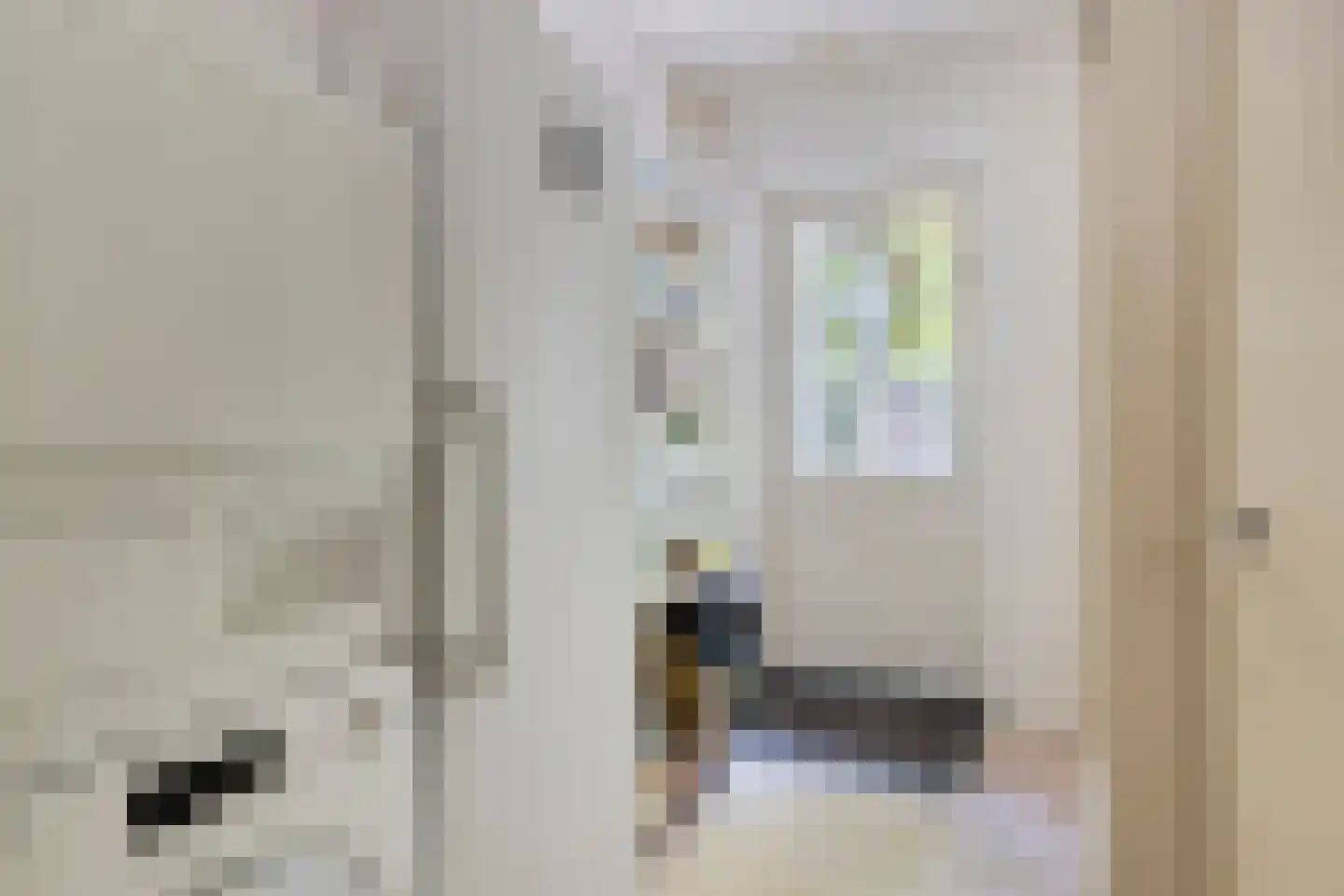 De Coevering 4 Veghel thumbnail 32
