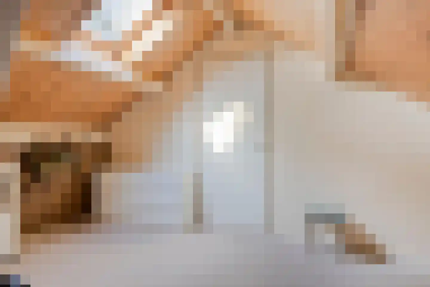 De Coevering 4 Veghel thumbnail 33